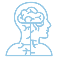 Nervous System Support